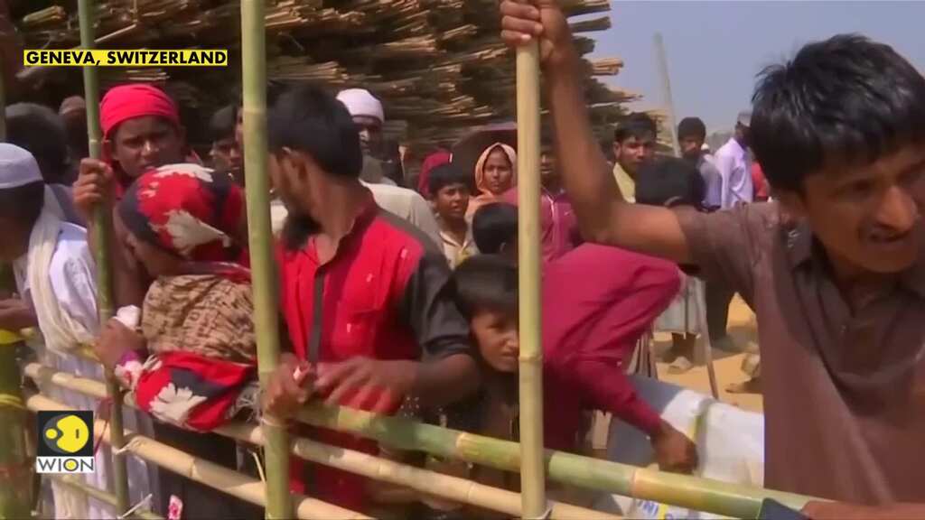 71 million people have fled their home or their country in 2018, UNHCR says