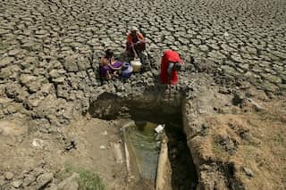 Hotels, firms cut back on water use as taps run dry in Chennai