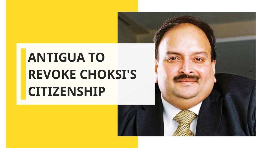 PNB scam: Mehul Choksi's citizenship to be revoked, confirms PM of Antigua and Barbuda