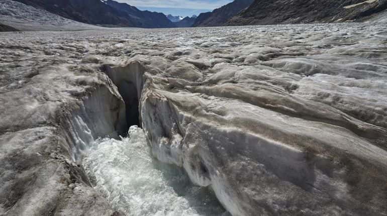 'States have marched past every scientific warning'