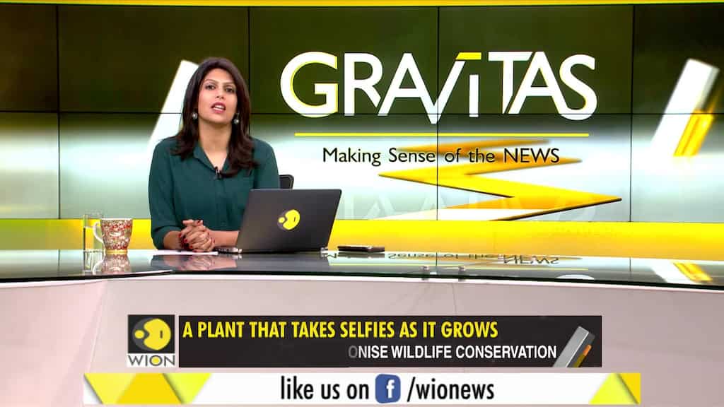 Gravitas: When plants take selfies