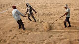 Decoded: Erratic weather patterns across India is bad news for food prices