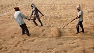 Decoded: Erratic weather patterns across India is bad news for food prices