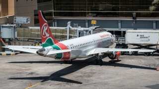Body of plane stowaway 'landed near London sunbather'