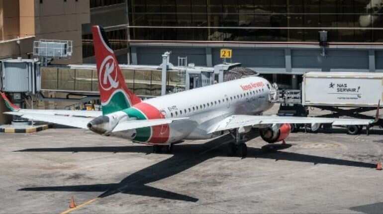 Body of plane stowaway 'landed near London sunbather'