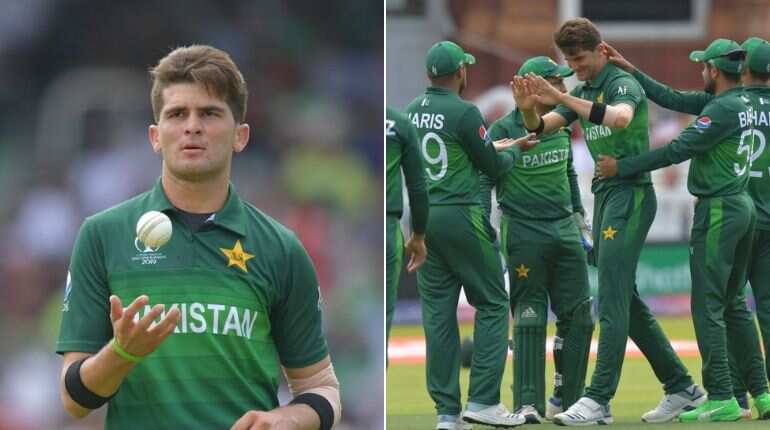 World Cup: Pakistan end campaign on winning note, defeat Bangladesh by 94 runs