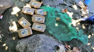 US Coast Guard offloads 11,500 pounds of seized cocaine worth $220 million in San Diego