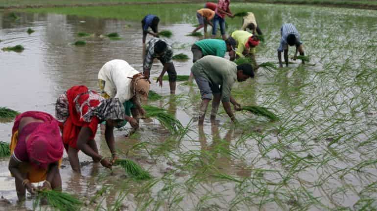 Strong currency props up Indian rice rates, wider demand subdued