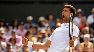 Wimbledon: Novak Djokovic battles past Bautista Agut into final