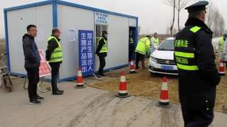 China to investigate local authorities' efforts to control African swine fever