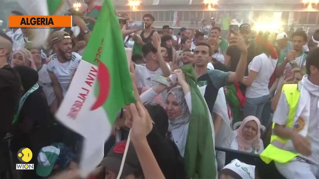 Fans celebrate wildly in Algeria capital with victory in Cup of Nations
