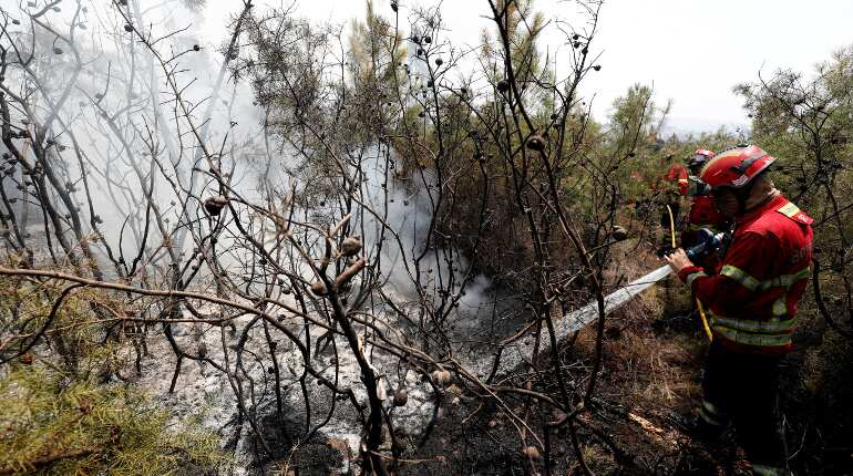 Police launch investigation as wildfire sweeps central Portugal