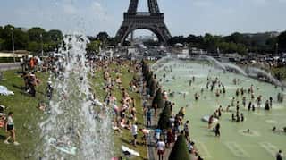 2019 was among warmest years on record, Arctic temperatures also increased: Report