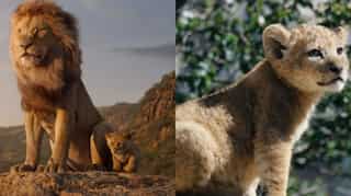 Meet Bahati, the lion cub who served as a model for Simba in 'The Lion King'