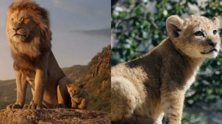 Meet Bahati, the lion cub who served as a model for Simba in 'The Lion King'