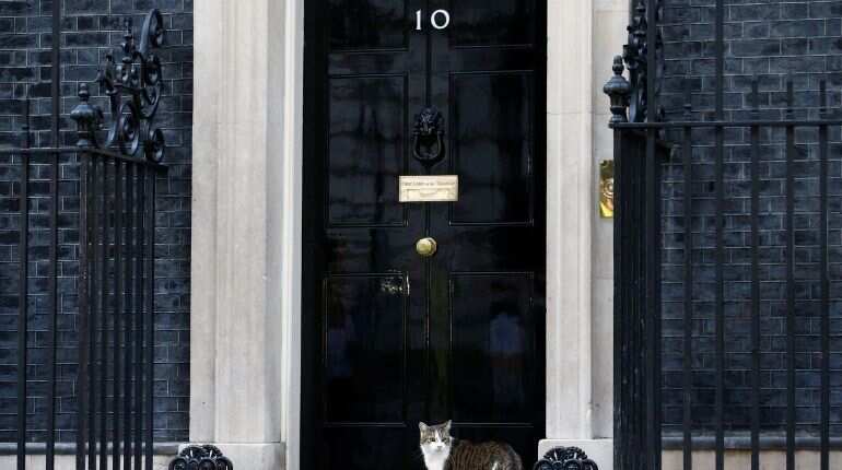 British PM Johnson eyes key appointment: A Downing Street dog British PM Johnson eyes key appointment: A Downing Street dog