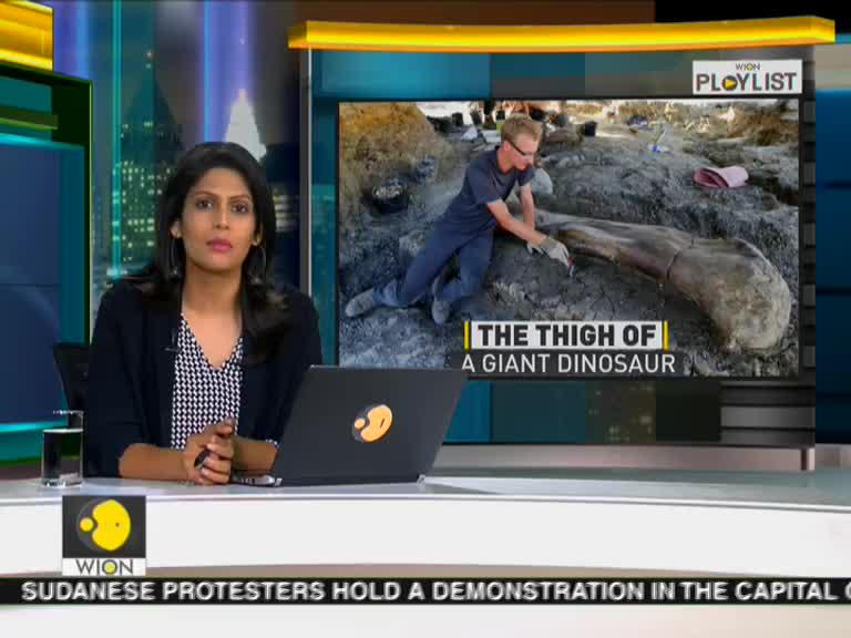 WionNews Video
