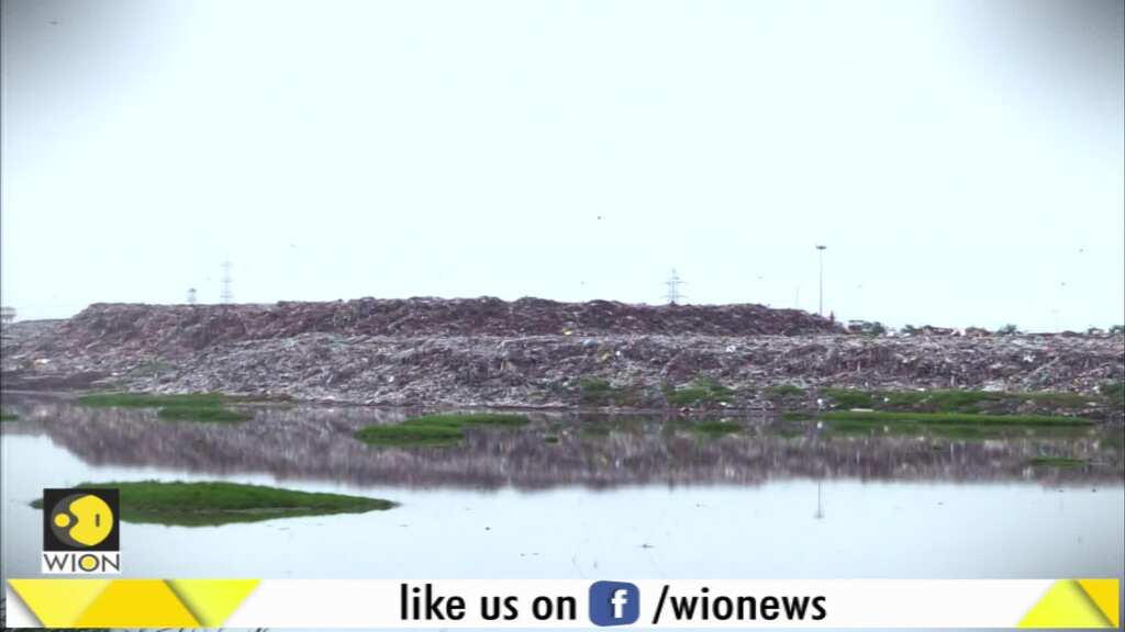 Pallikarnai Marshland: Parched Chennai Still Has Few Watering Holes For Birds