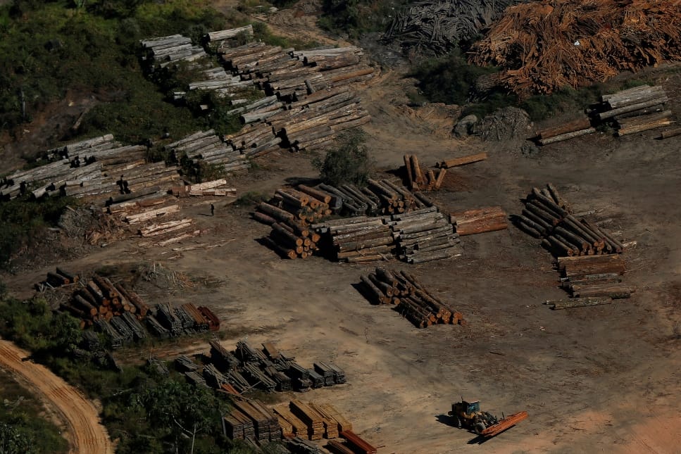 Brazil Amazon deforestation soars to 11-year high in 2019 Brazil Amazon deforestation soars to 11-year high in 2019