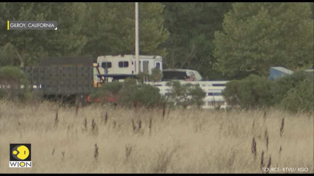 Witnesses describe US festival shooting