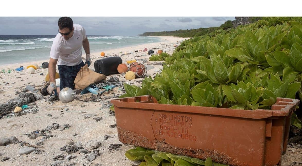 Island under the burden of debris