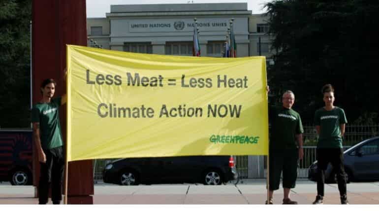 UN flags need to cut meat to curb land use impact on global warming UN flags need to cut meat to curb land use impact on global warming