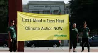 UN flags need to cut meat to curb land use impact on global warming