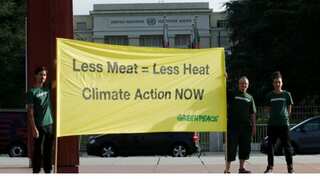 UN flags need to cut meat to curb land use impact on global warming