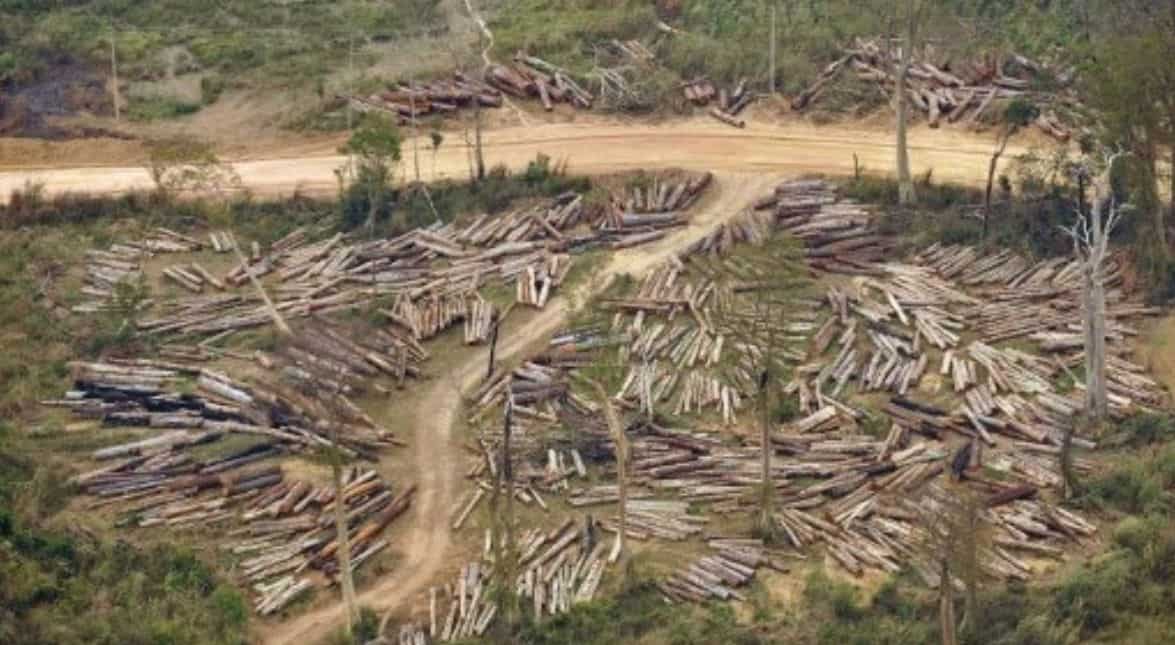Forest Factor
