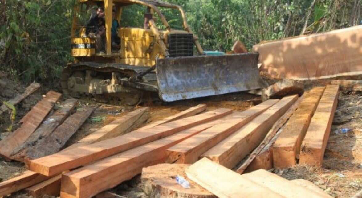 Deforestation and degradation