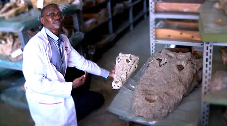 Hidden mysteries lie in wait inside Kenya's fossil treasury