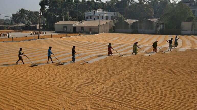 India's April-June rice exports dive 28.2% India's April-June rice exports dive 28.2%
