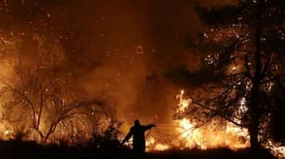 Fire rages on Greece's Evia, threat to people averted