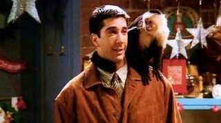 David Schwimmer is looking forward to 'Friends' reunion for this reason