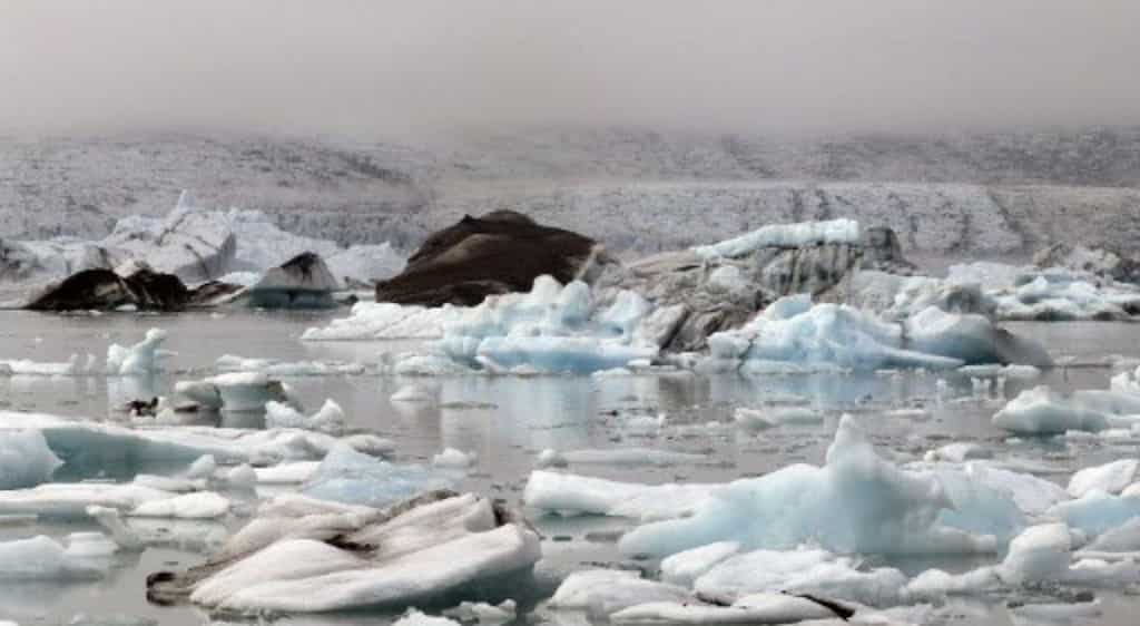 11,000 scientists caution against climate emergency, warn of unavoidable human suffering