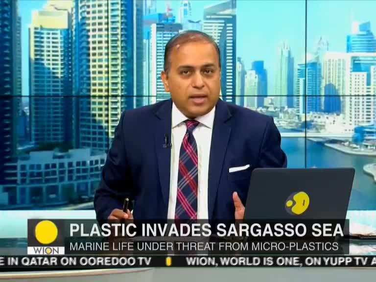 Microplastics invades Sargasso sea