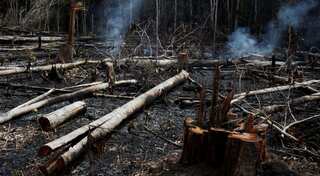 Deforestation in Amazon forest hits the highest annual level in a decade