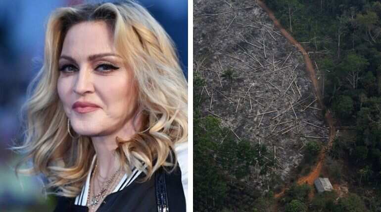 We need to WAKE -UP: Madonna