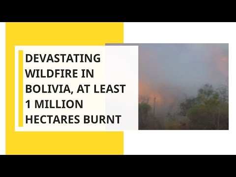 Devastating wildfire in Bolivia, at least 1 million hectares burnt