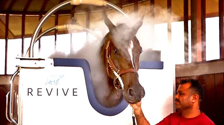 Race horses get cold treatment to boost performance