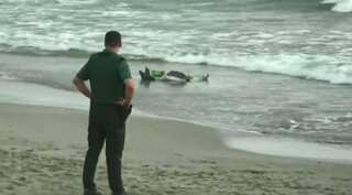 Spanish military jet crashes into sea