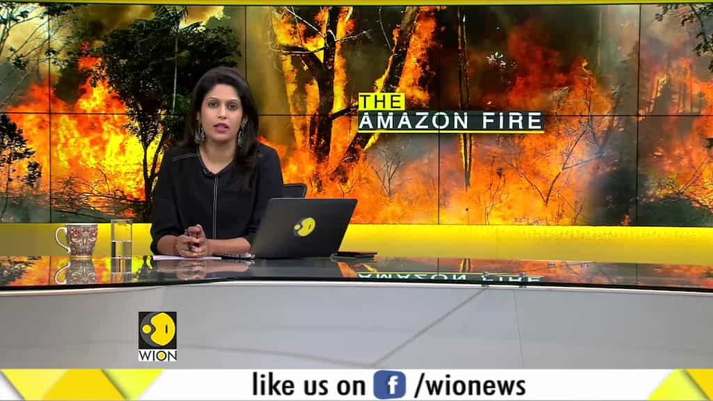 Gravitas: Amazon Rainforest in Reel Life