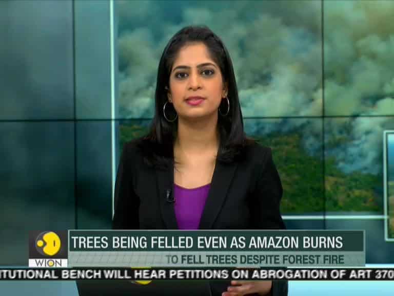 Carlos Nobre, Climate Scientist on Amazon Fire