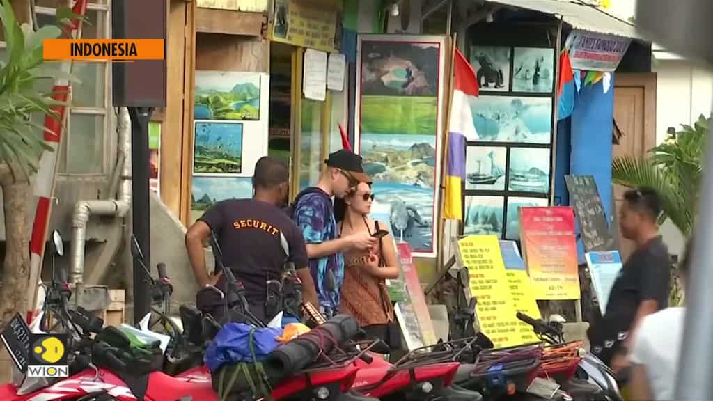 Small Indonesian town eyes economic takeoff on the back of Komodo dragons
