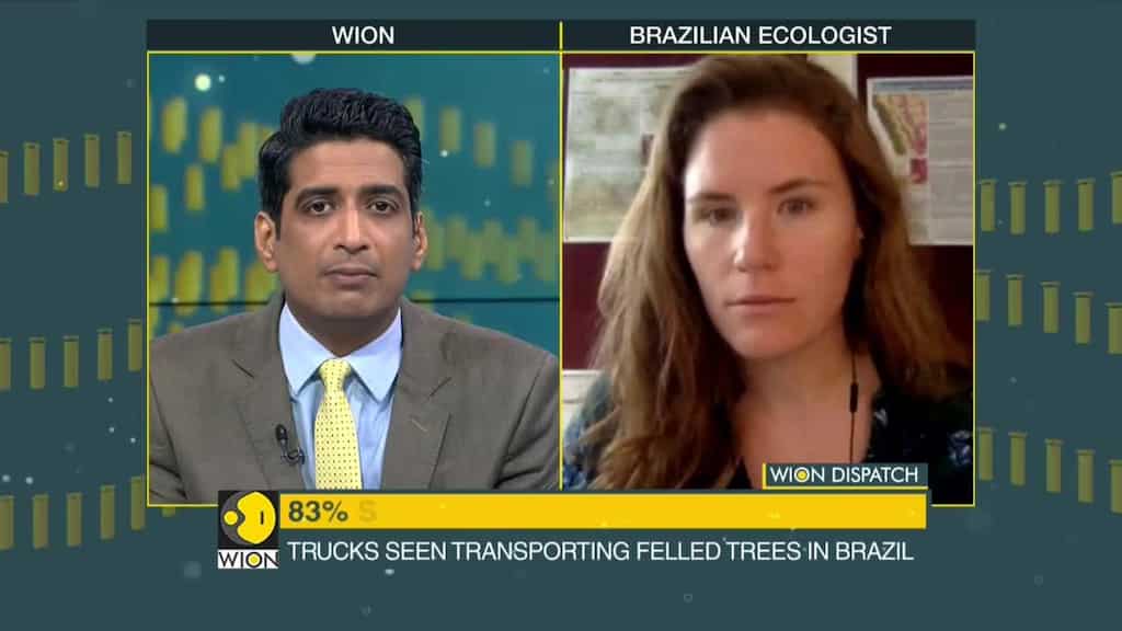 Adriane E. Meulbert on Brazil rejected millions in Amazon aid
