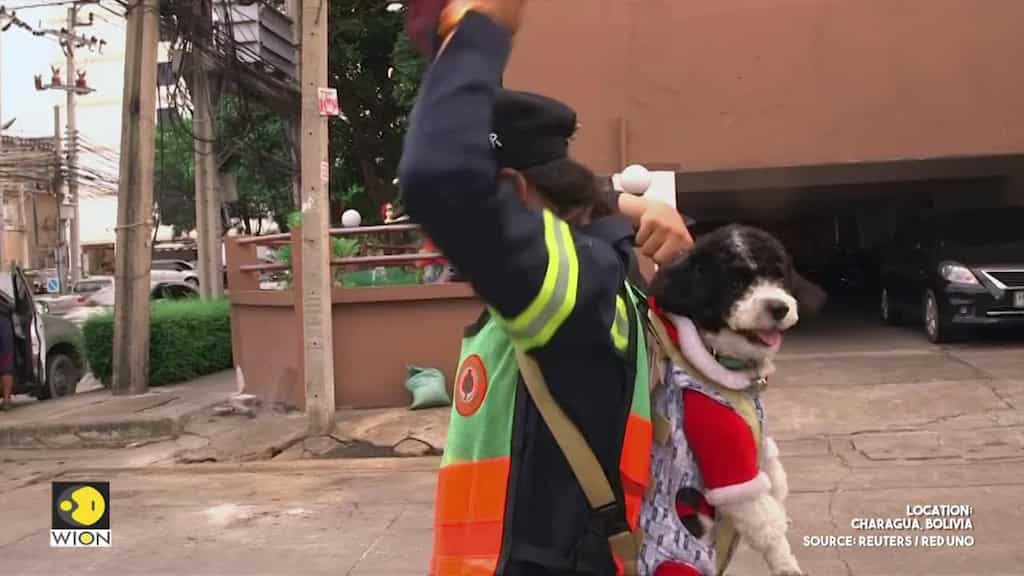 Bangkok street sweeper goes viral after carrying her dog to work
