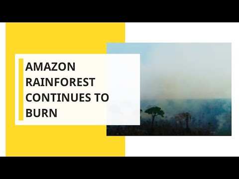 Amazon Rainforest Continues To Burn