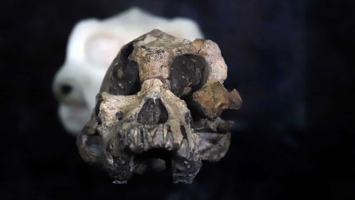 'Once-in-a-lifetime discovery'