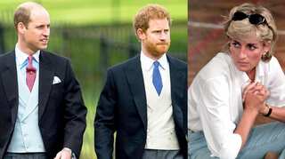 Here's how Prince William, Prince Harry honour Princess Diana on death anniversary every year