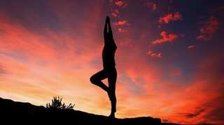 Fit India movement: Where does India stand on health index? 